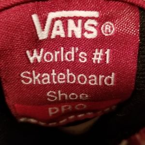 Men's Van's Skate Shoe